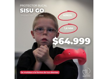 SISU GO